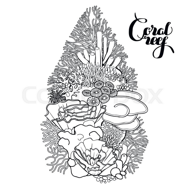800x800 Coral Reef In Line Art Style. Ocean Plants And Rocks Isolated