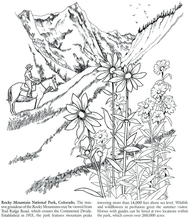 650x750 Elk Coloring Pages Moose Elk Coloring Page Pages Moose Coloring