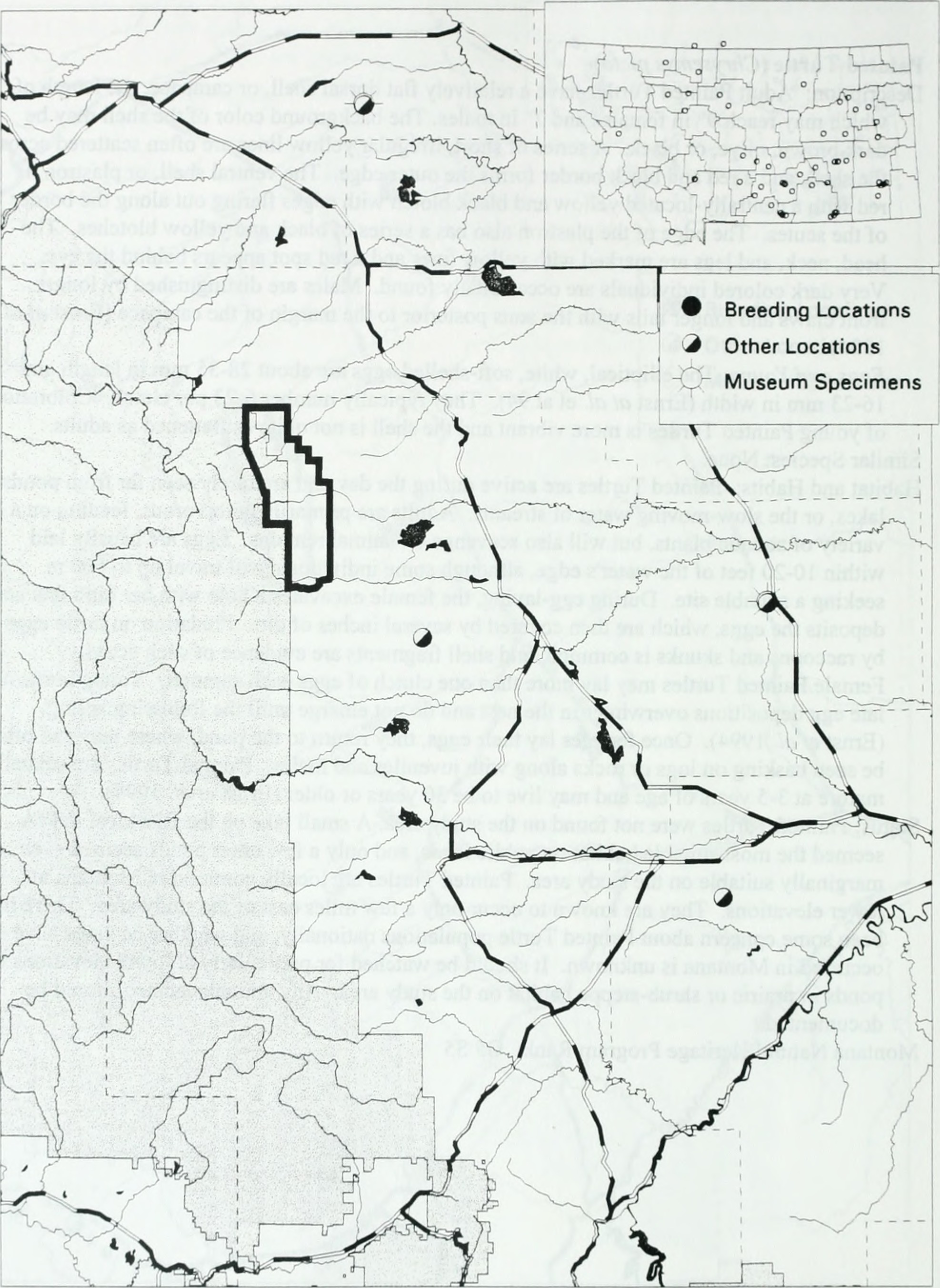 1974x2704 Fileamphibian, Reptile And Northern Bog Lemming Survey On