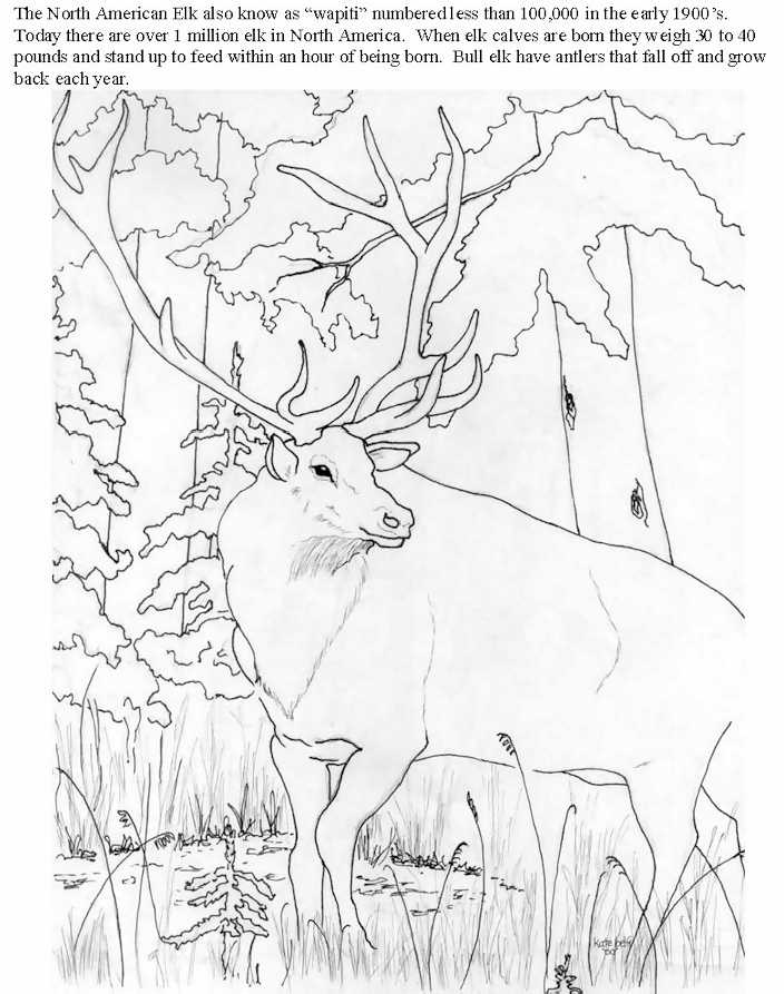 704x893 Rocky Mountains Coloring Page