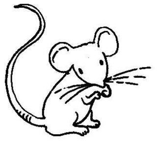320x290 Pix For Gt Mouse Drawing For Kids Ink. Mice And Tatting