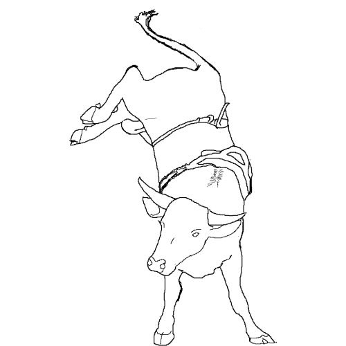 500x500 Bull Coloring Pages