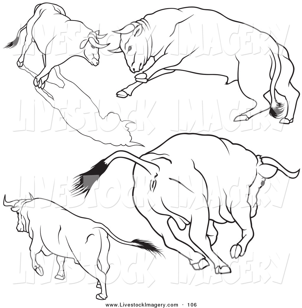 1024x1044 Royalty Free Stock Livestock Designs Of Rodeo Bulls