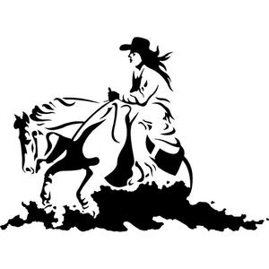 300x300 Rodeo Vinyl Car Sticker Orenda Serein