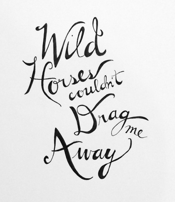 570x656 Items Similar To Wild Horses