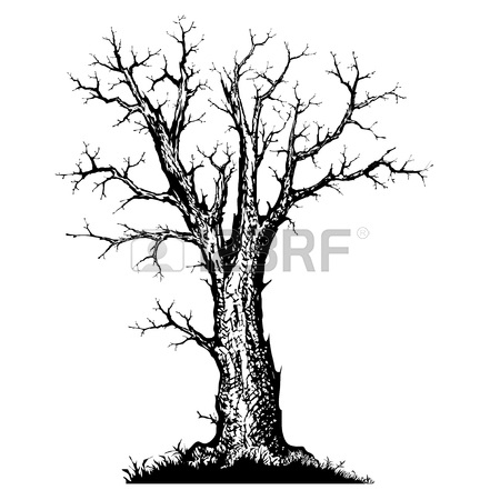 450x450 Roman Sketch Images Amp Stock Pictures. Royalty Free Roman Sketch