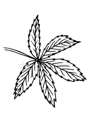 347x450 Ancient Roman Column Stock Photo Julia Faranchuk