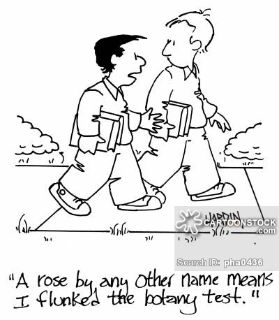 400x458 Romeo And Juliet Cartoons And Comics