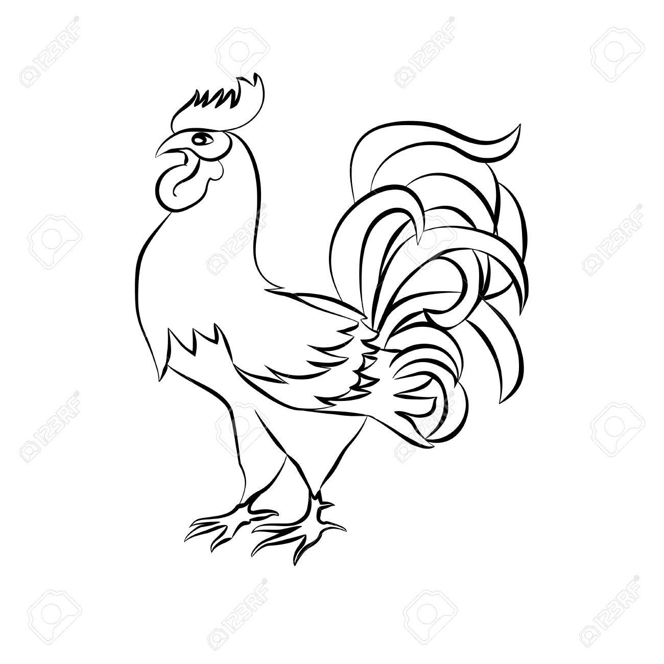 1300x1300 Black Sketch Drawing Of A Rooster On White Background Royalty Free