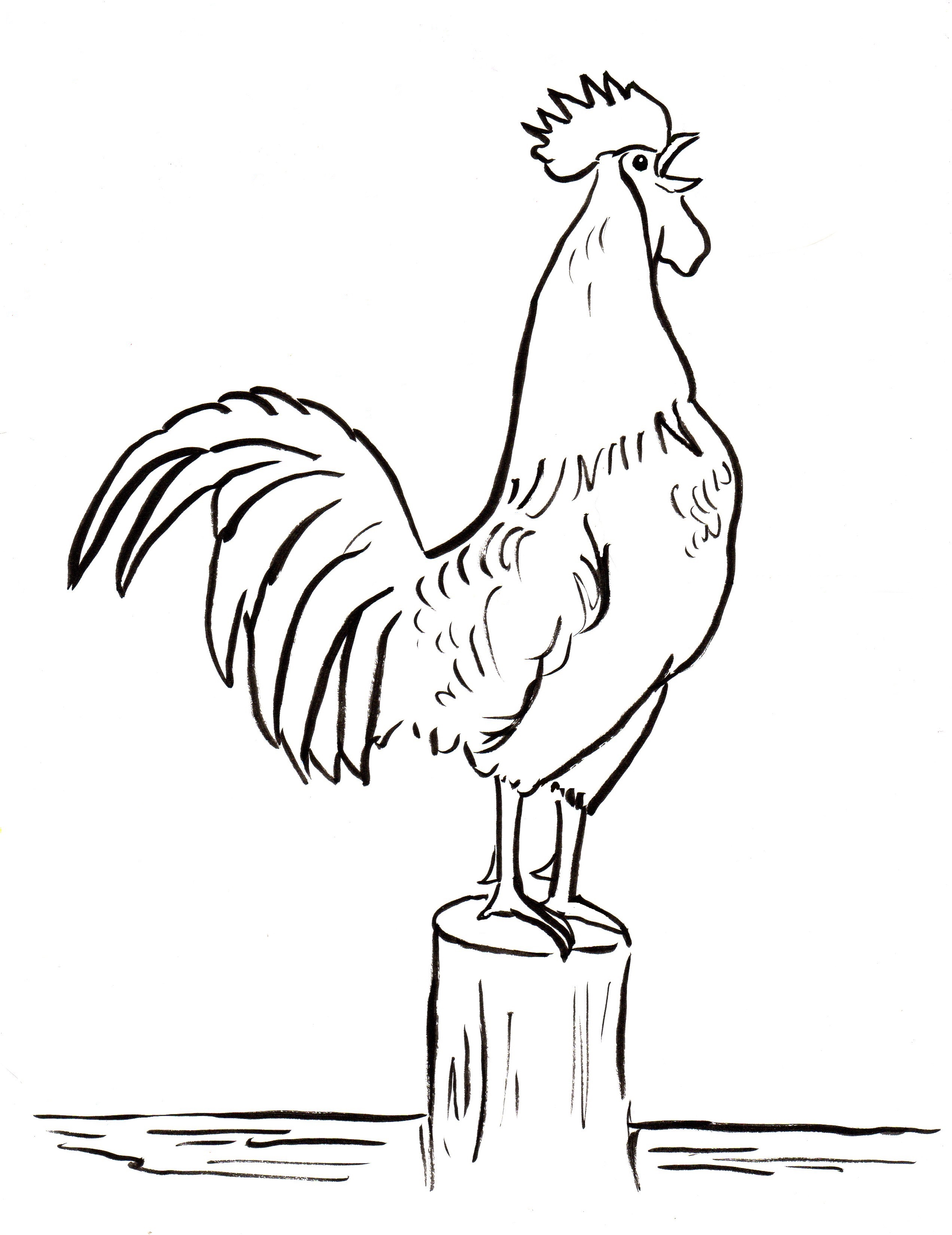 2545x3300 Rooster Coloring Page