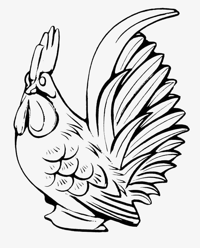 642x798 The Line Drawing, Sketch Chicken, Rooster Sketch Png And Psd File