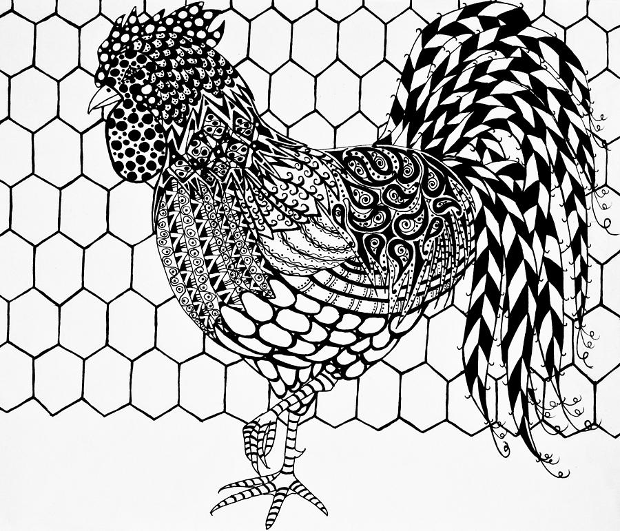 900x771 Zentangle Rooster Drawing By Jani Freimann