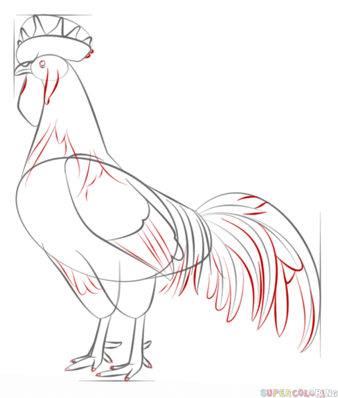 488x575 Drawn Rooster Line Drawing