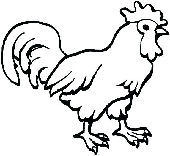 572x525 Hen Coloring Pages Hen Coloring Page Rooster And Pages Google