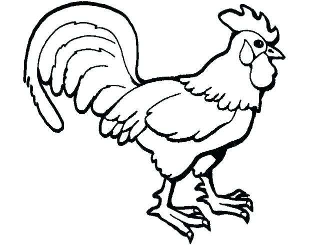 618x491 Little Red Hen Coloring Page Printable Rooster Coloring Pages Easy