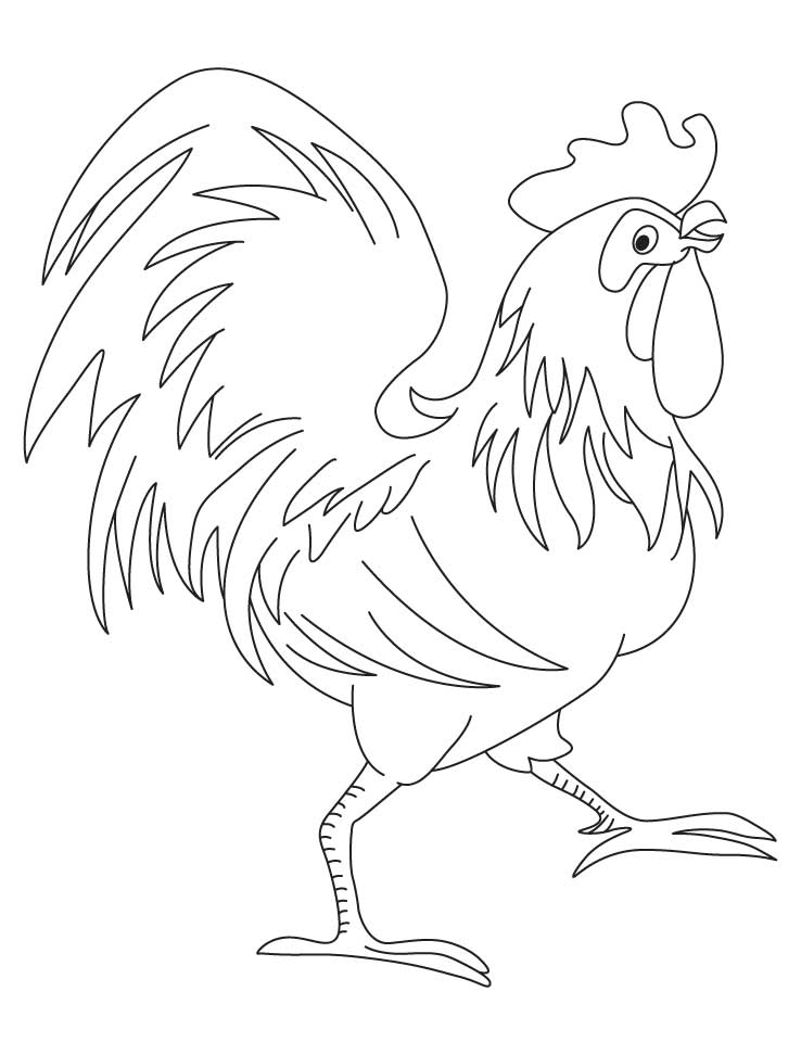 738x972 Rooster Chinese Zodiac Sign Coloring Page Download Free Rooster