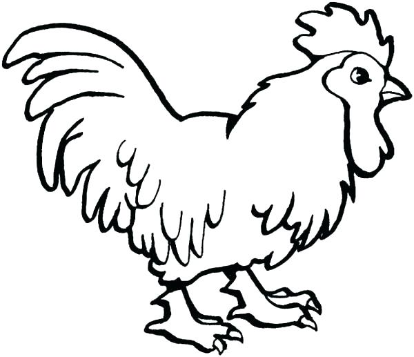 600x517 Great Rooster Coloring Page Image For Kids Craft Pages Pr
