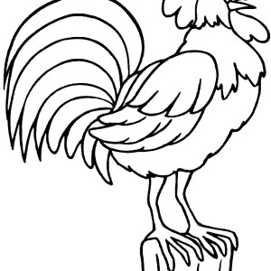 300x300 Kids Drawing A Rooster Coloring Page Coloring Sky