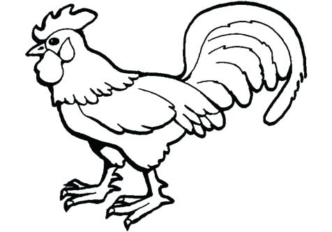 476x333 Rooster Coloring Page Drawings Of Roosters Free Rooster Coloring