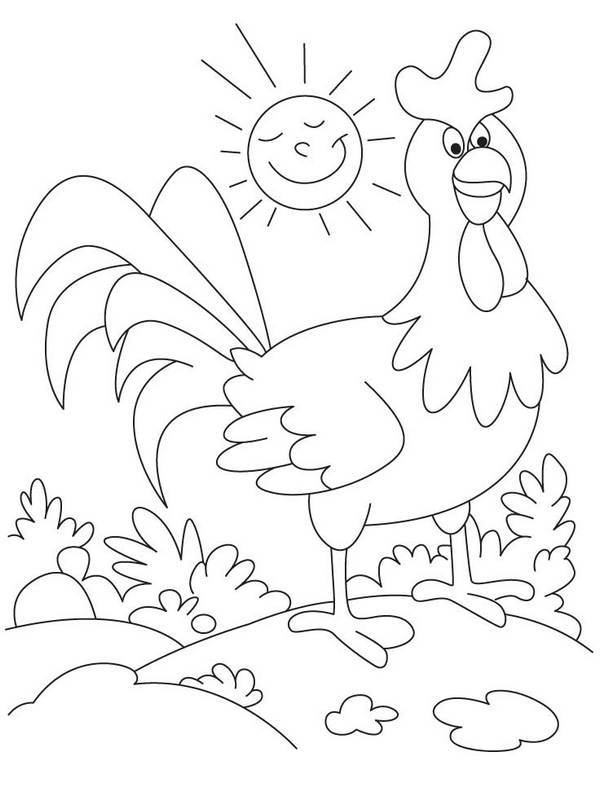 600x792 Funny Rooster Farm Animal Coloring Pages Coloring Page Kids