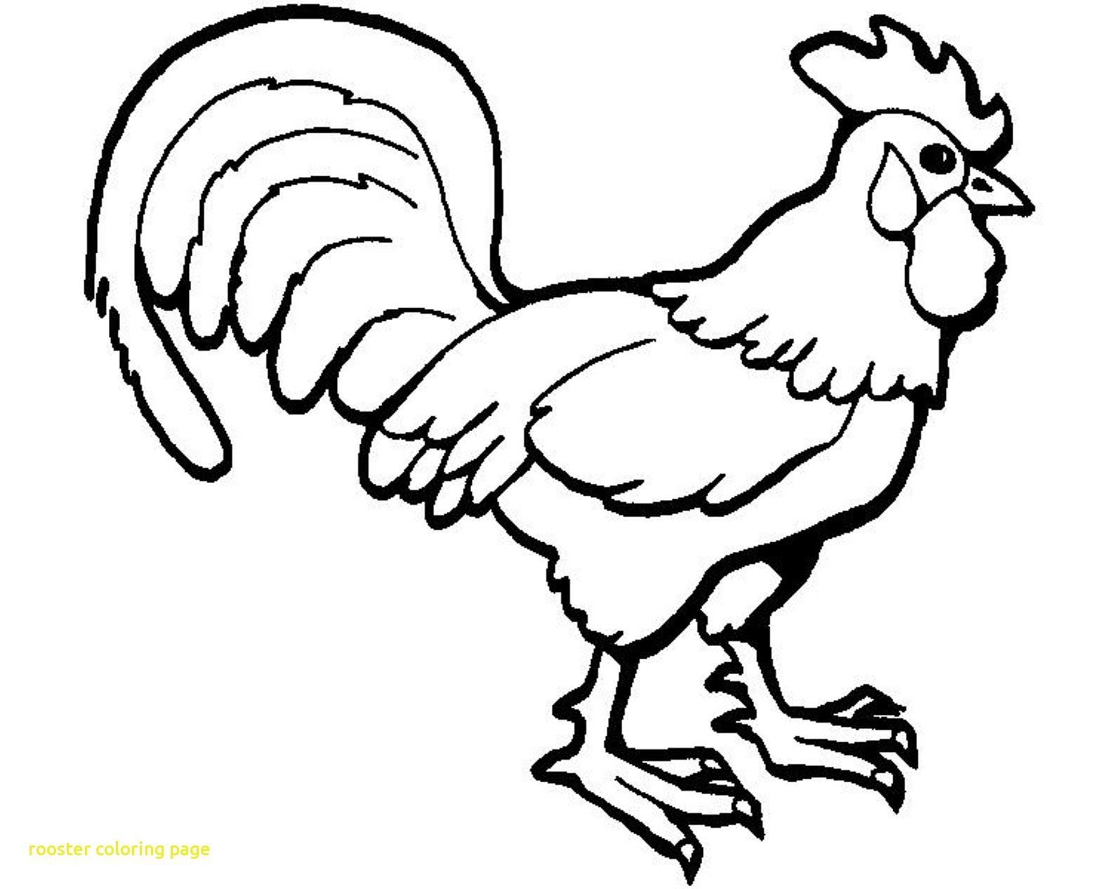 Rooster Drawing Images at GetDrawings | Free download