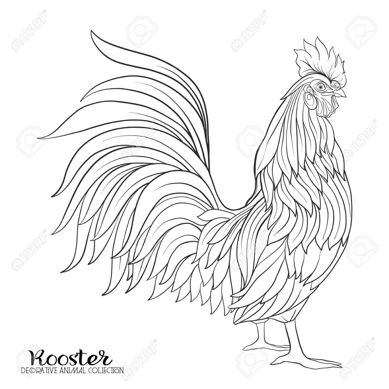 1300x1300 Rooster. Chinese New Year Symbol 2017 New Year. Outline Drawing
