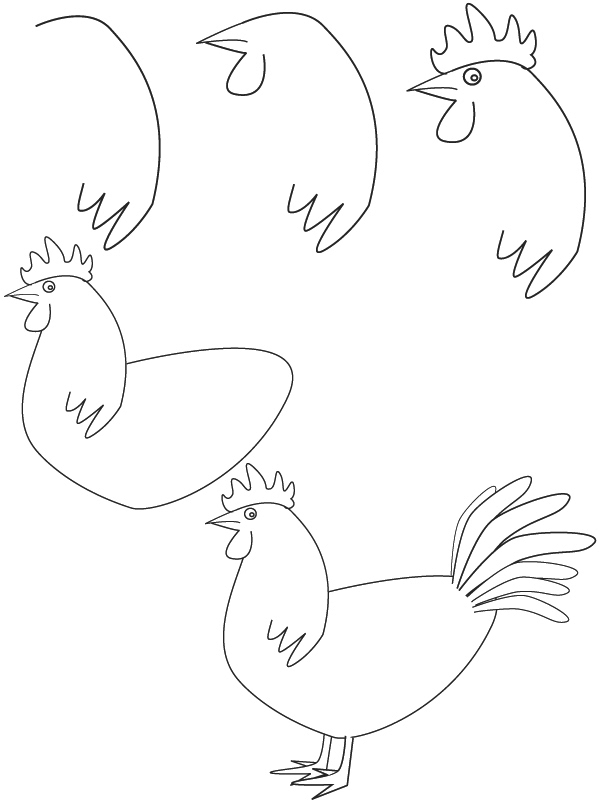 600x800 Drawing Rooster