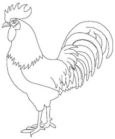 Rooster Drawing Images at GetDrawings | Free download