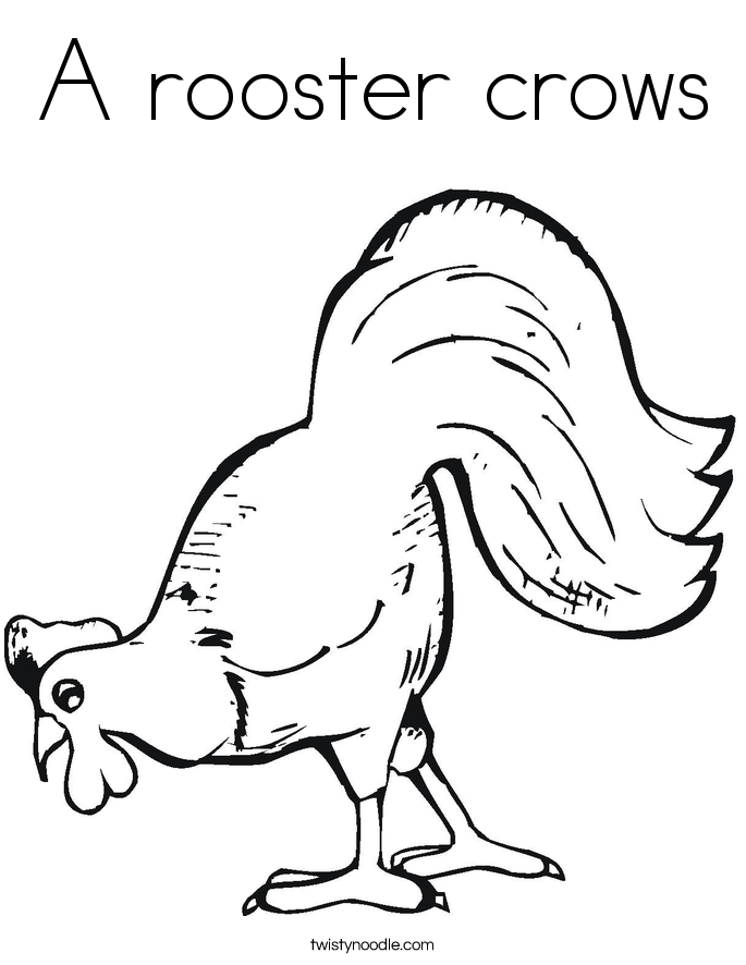 685x886 Rooster Drawings Outline