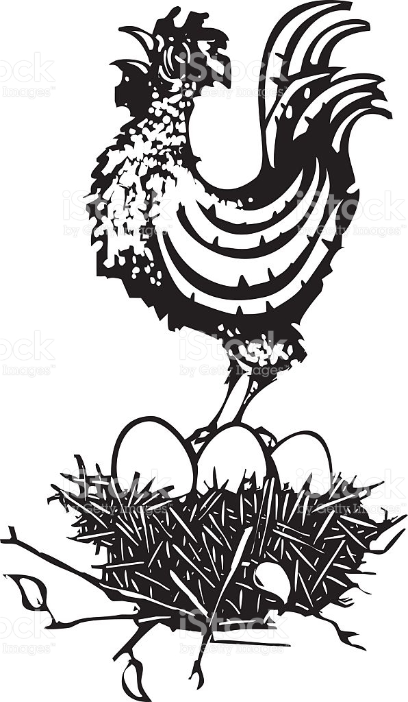 596x1024 Drawn Rooster Woodcut