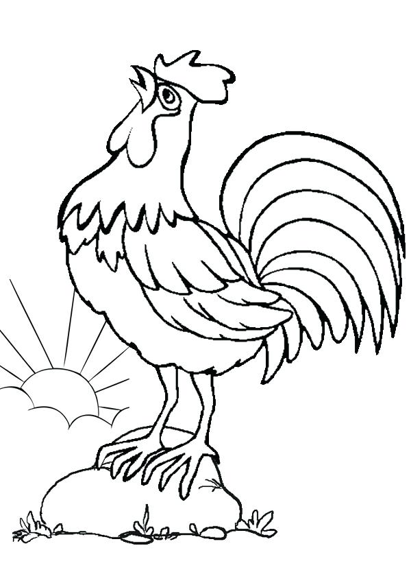 600x850 Rooster Coloring Page 76 Plus Color Book Page For Adult Black Ink