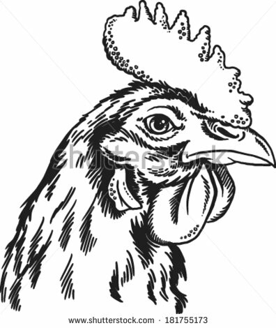 396x470 Rooster Drawing Paint Amp Nail Inspiration