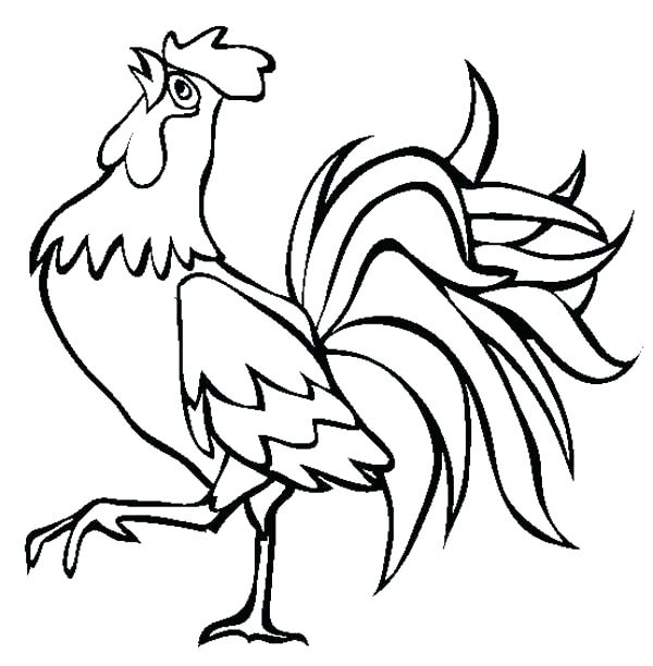 600x612 Beautiful Rooster Coloring Page And Blank Rooster Coloring Page 68