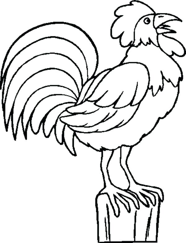 Rooster Head Drawing at GetDrawings | Free download