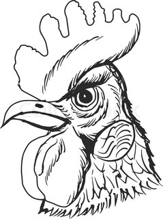 239x320 Rooster Head. Chinese Calendar. Year Of Rooster 2017. Cock Symbol