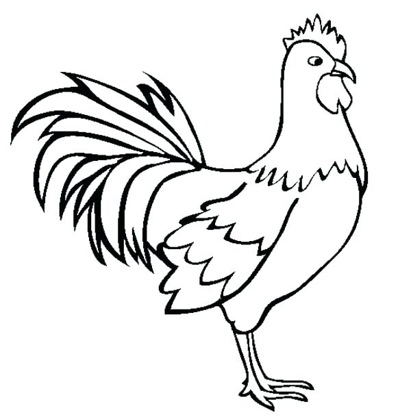 600x612 Coloring Rooster Self Portrait Coloring Page Rooster Coloring