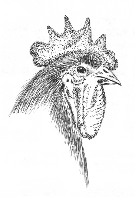 446x650 September 2010 Three Color Disasters