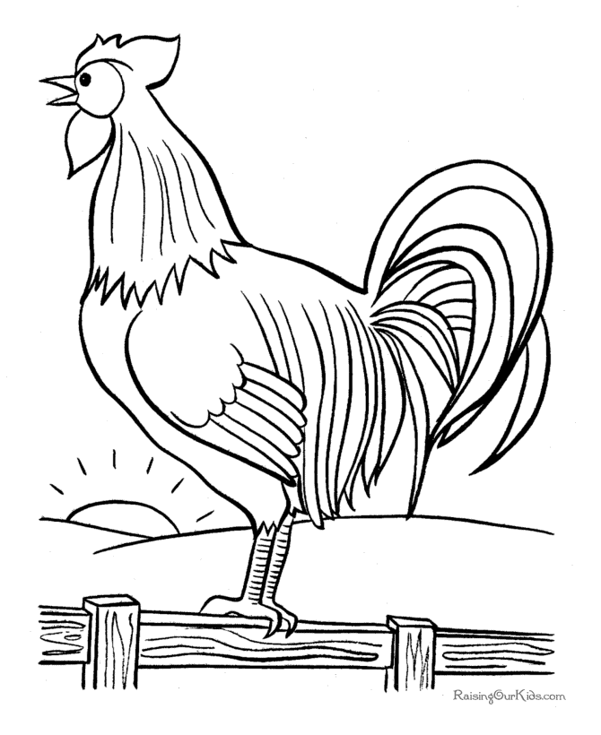 670x820 Free Rooster Pictures To Print These Free, Printable Coloring