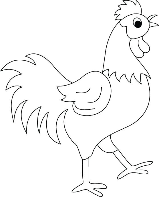 556x686 Rooster Coloring View Larger Rooster Head Coloring Page 1table.co