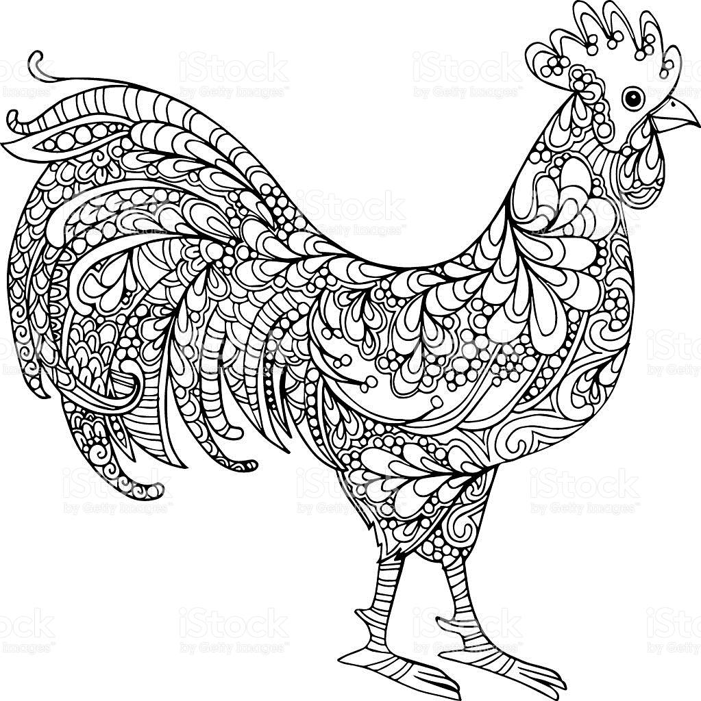 1023x1024 Drawn Rooster Chicken