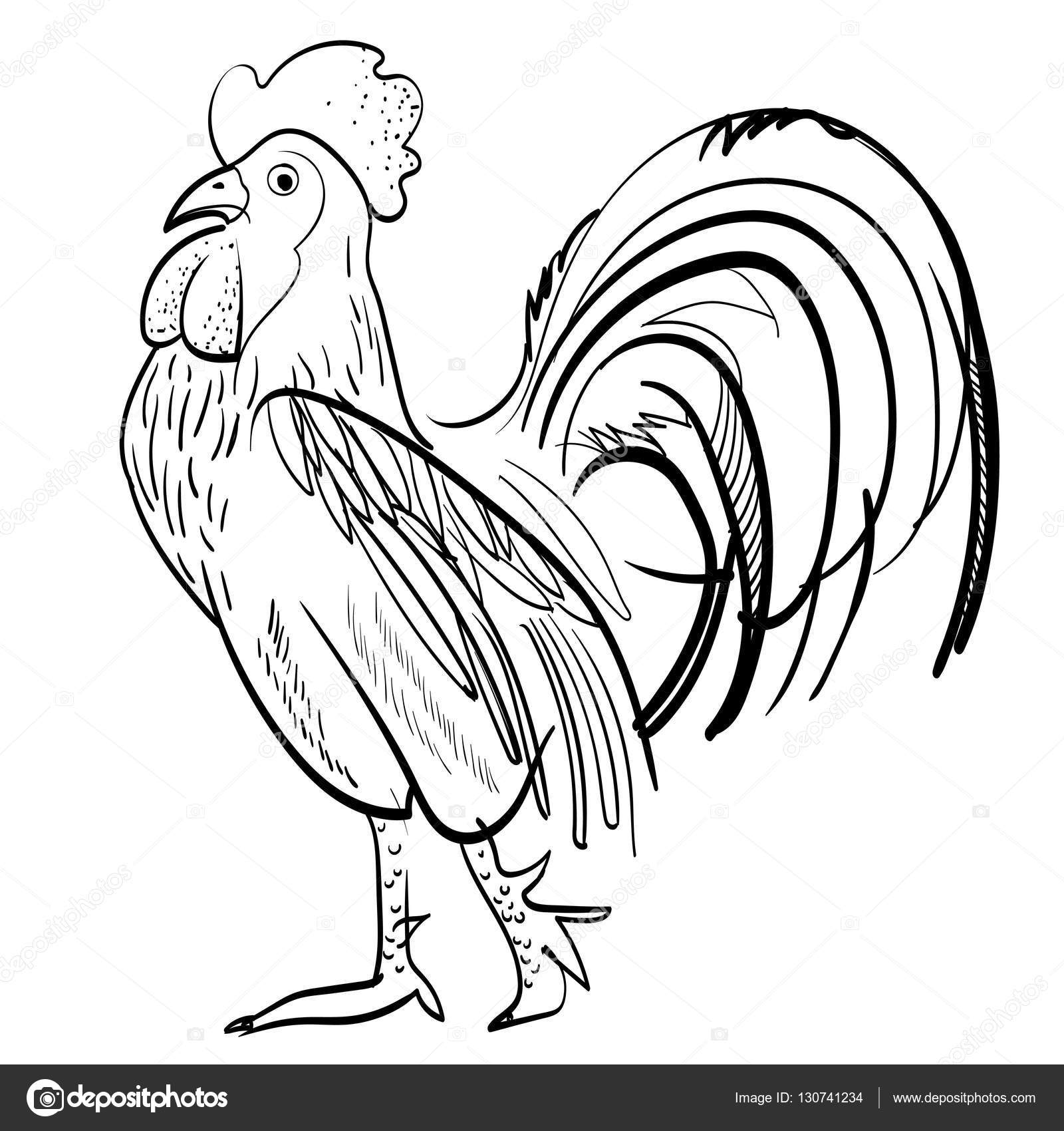 1600x1700 Drawn Rooster Vector