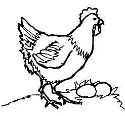 247x230 Easy Eggs To Draw Rooster Rooster Stencil