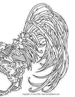 250x325 Fighting Rooster Drawings Free Clip Arts Sanyangfrp