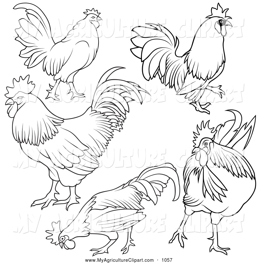 1024x1044 Image Result For Simple Chicken Template Fye Chicken Run 2017