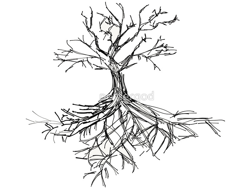 800x600 Tree Sketch With Roots Canvas Prints By Pottergod Redbubble