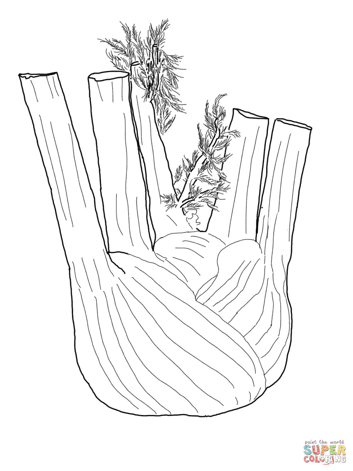 1200x1600 Fennel Root Coloring Page Free Printable Coloring Pages