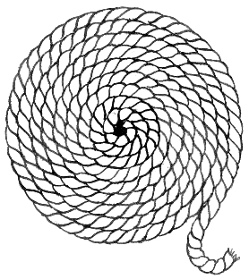 278x312 Filecoil (Rope) (Psf).jpg