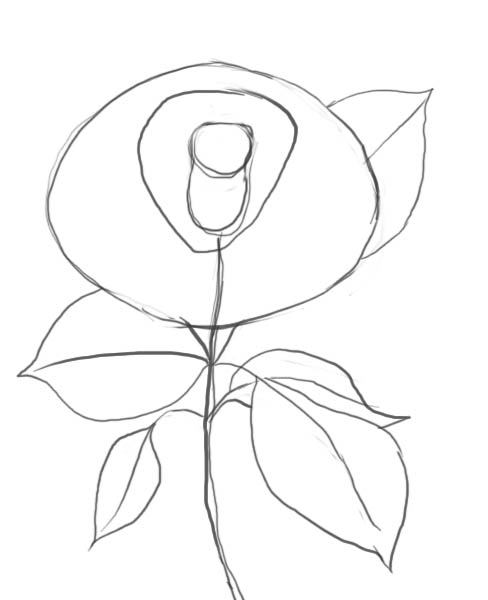 488x600 How To Draw A Rose