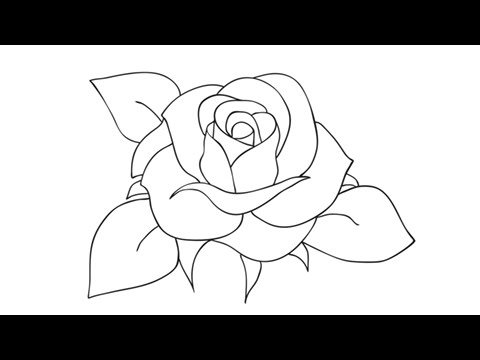 480x360 How To Draw A Rose