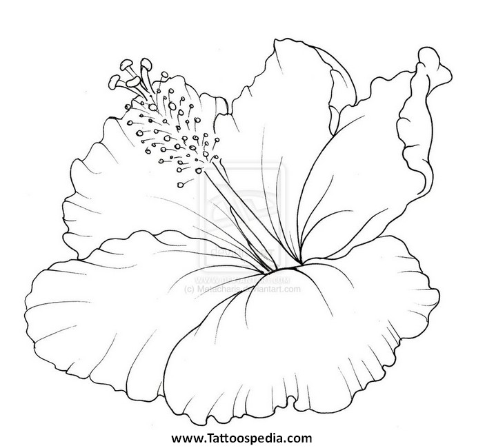 703x650 Tattoo Designs Of Butterflies, Awesome Tattoos For Couples